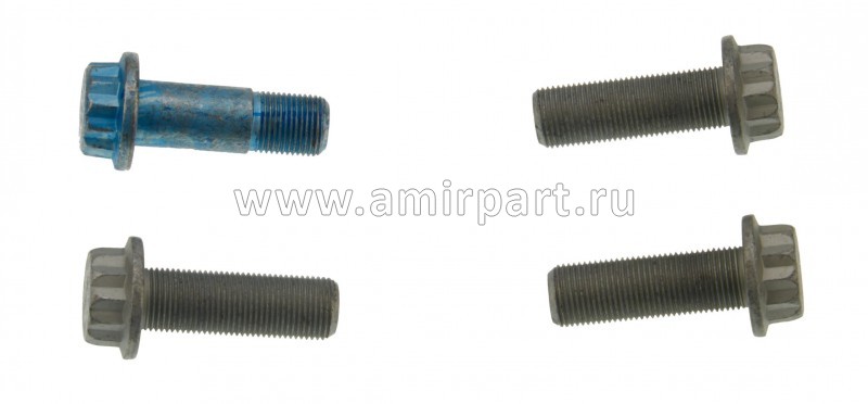 Крепежный комплект суппорта SAF / М18*1,5 / болты 1+3 / 3.434.3660.00 / Sampa 075.619