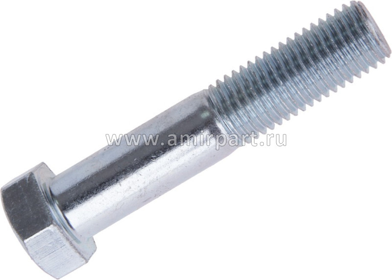 Болт М20х2.5х100 пр.10,9