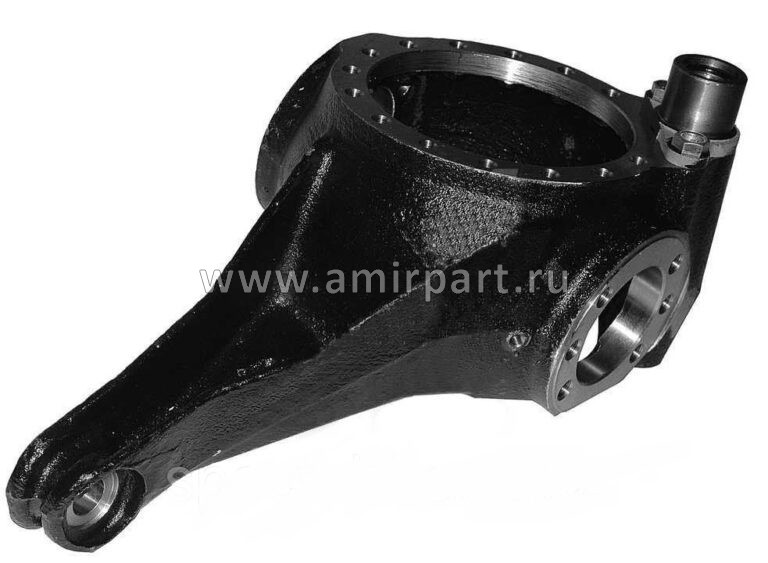 Корпус КАМАЗ-4310 кулака поворотного левый 4310-2304029
