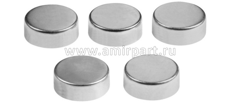РМК суппорта Knorr SB/SN5 металическая заглушка 5 шт.D=40*H11mm. TTT 14539