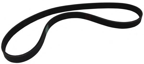 Ремень поликлиновый 8х1635 о.н. 51968200344 / Dayco 8РК1635HD