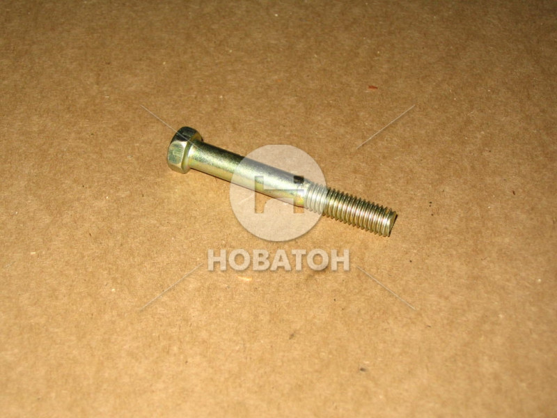 Болт М8х60 200271-П29