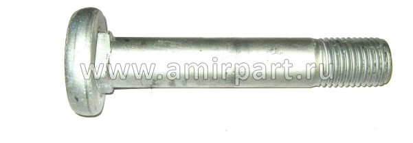 Болт M30x170 BPW (03.341.05.05.0) / SE-M Lastik 10262 @4814