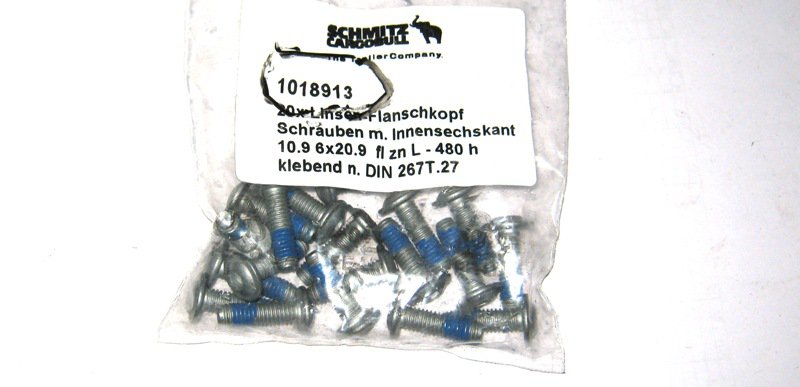 Болт М6х25 DIN 603 (к роликам 1026011) SCHMITZ 1018913