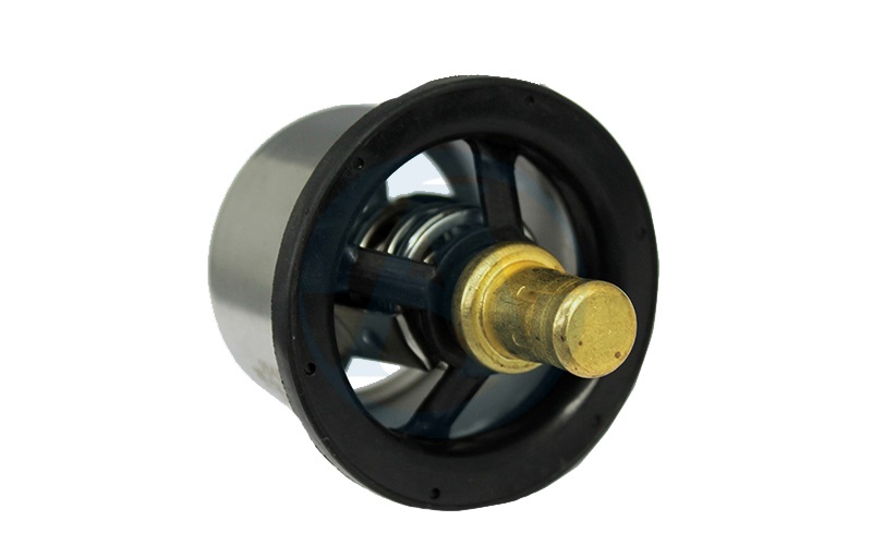 Термостат 650.1306100 (АМ)