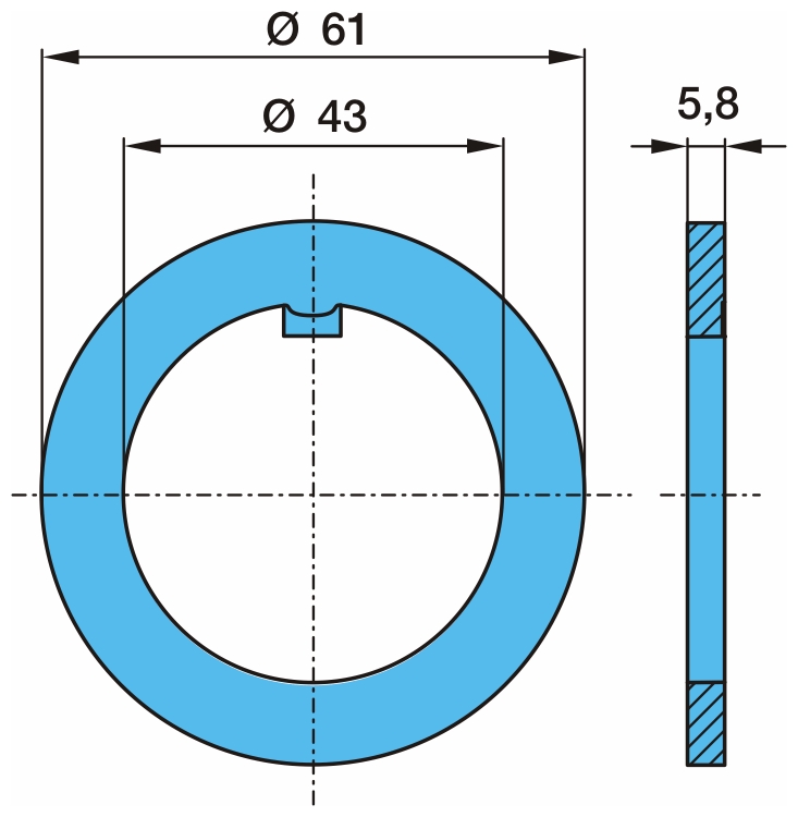 Кольцо ЕСО системы 8т 43/61х5,8 BPW (03.320.73.13.0)